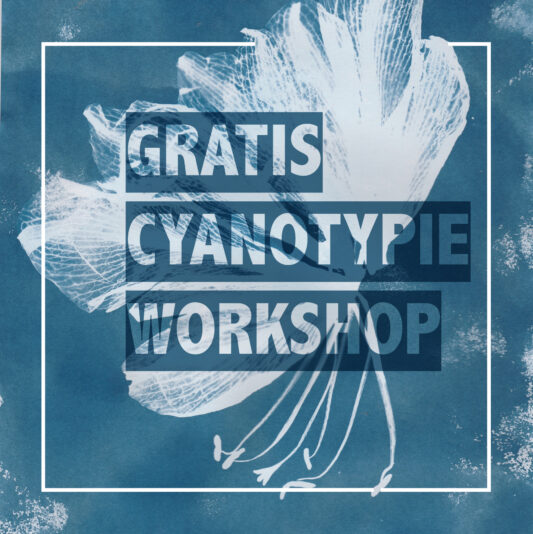 Cyantopie Workshop
